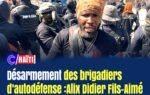 Désarmement des brigadiers d’autodéfense : Alix Didier Fils-Aimé mène-t-il le bon combat ?