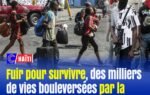Haïti : fuir pour survivre, des milliers de vies bouleversées par la violence