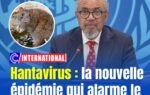 Hantavirus : la nouvelle épidémie qui alarme le monde
