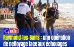 Raymond-les-Bains : une opération de nettoyage face aux échouages de sargasses