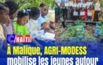 À Malique, AGRI-MODESS mobilise les jeunes autour de l’agriculture durable