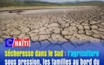 Sécheresse dans le Sud : l’agriculture sous pression, les familles au bord du désespoir
